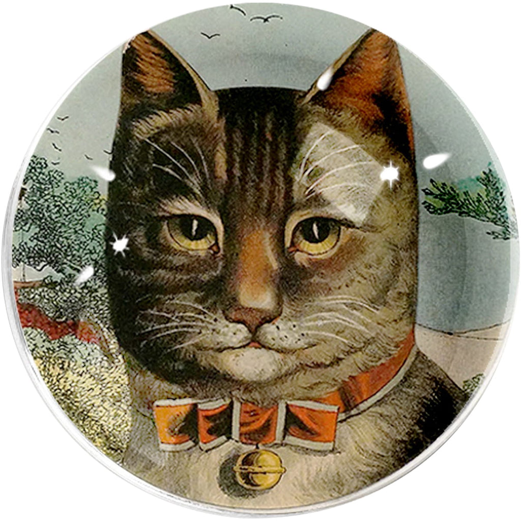 Crystal Dome Paperweight - The Clever Cat