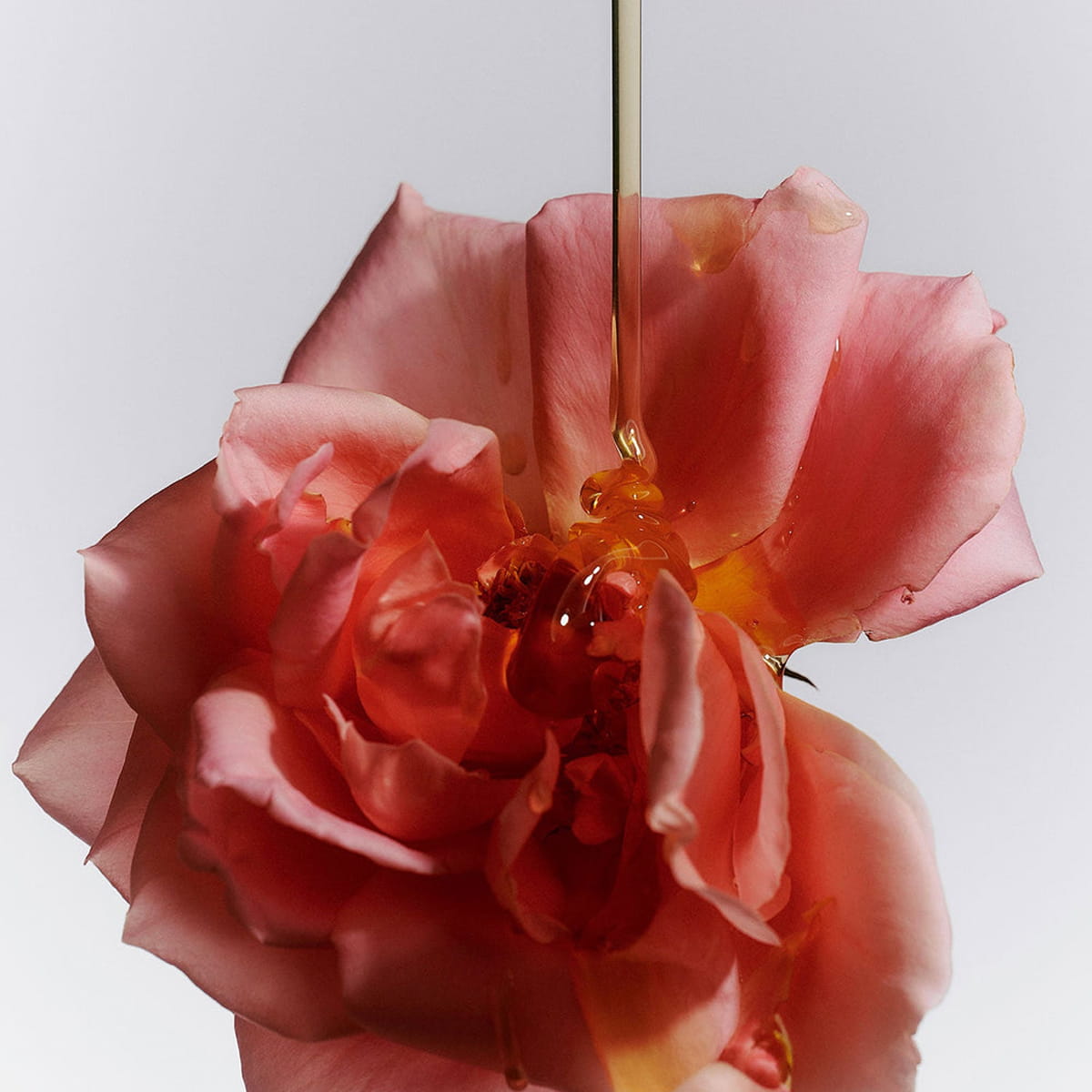 Jasmine Damask Rose Glass Hand Soap