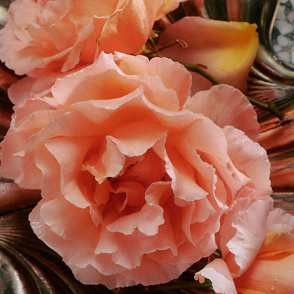 Jasmine Damask Rose Glass Hand Soap