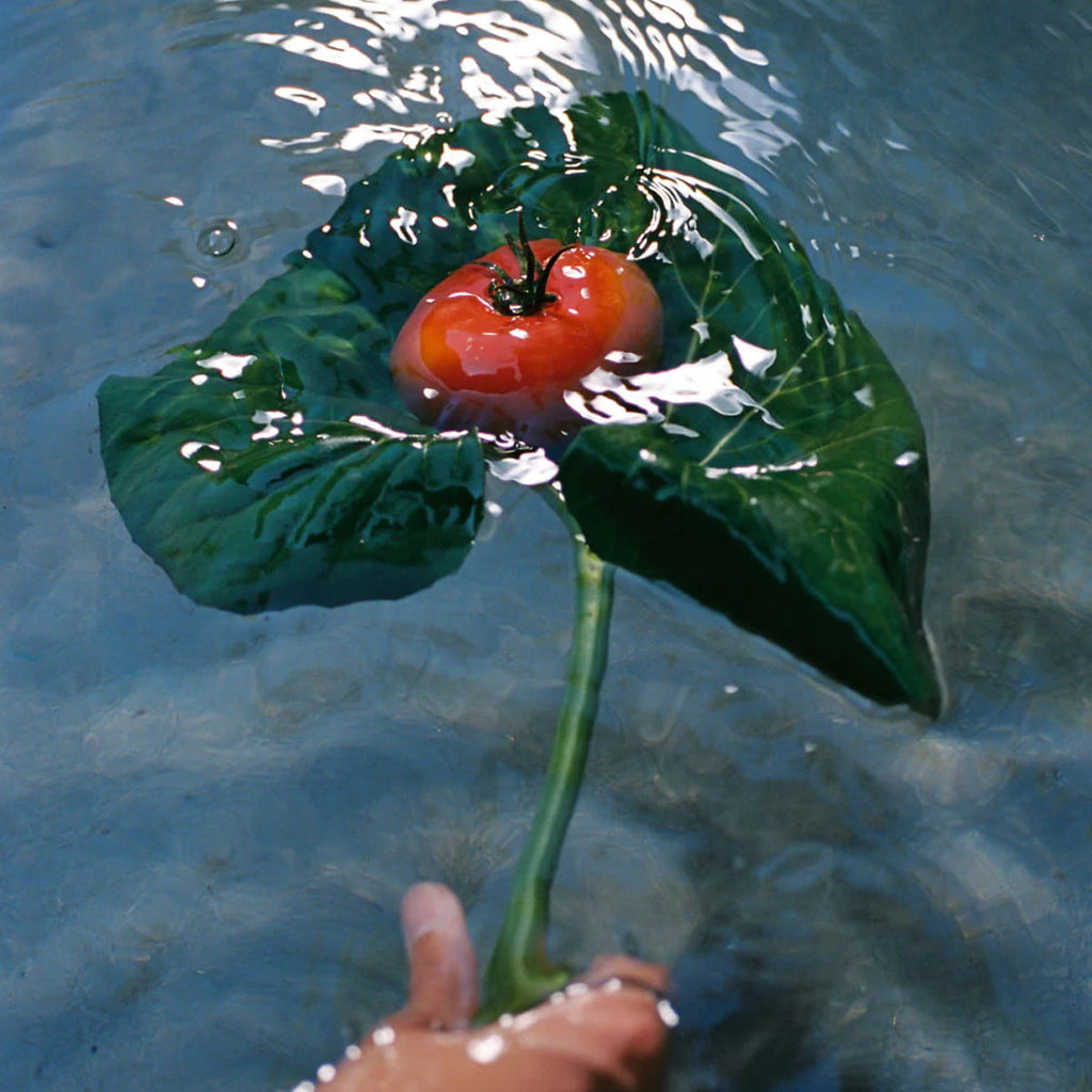 Heirloom Tomato Glass Hand Soap